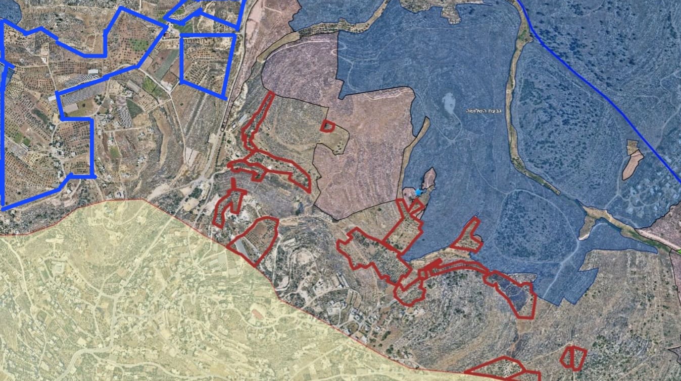 إعلان صادر عن بلدية صوريف/ بخصوص التنسيق لقطف ثمار الزيتون – موسم 2026